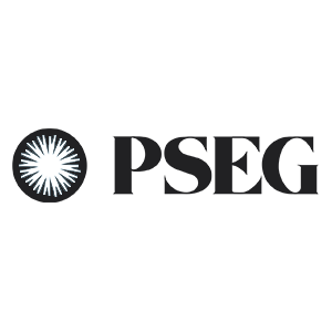 pse logo